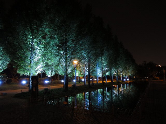 [DSC-WX1] 005.jpg